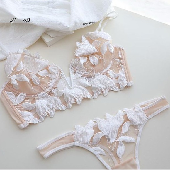 IZA Lotus Ivory Satin Embroidered Over Sheer Mesh Deep V Bustier Bra & Panties - Picture 12 of 15